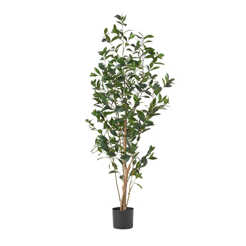 Artificial Laurel Tree|Green|24″W x 29″D x 64″H