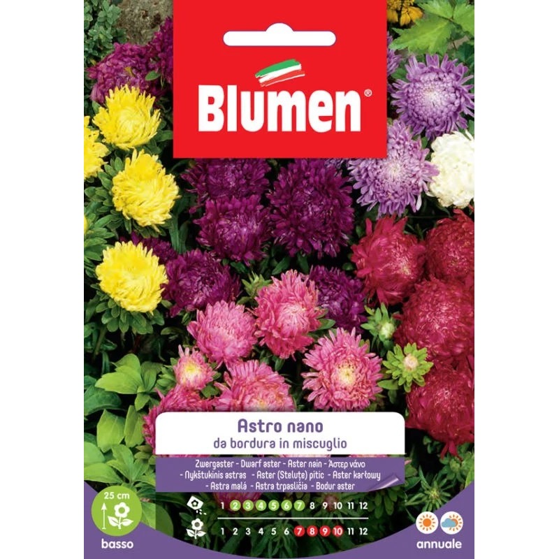 EV ASTRO DWARF BORDER IN MIX –