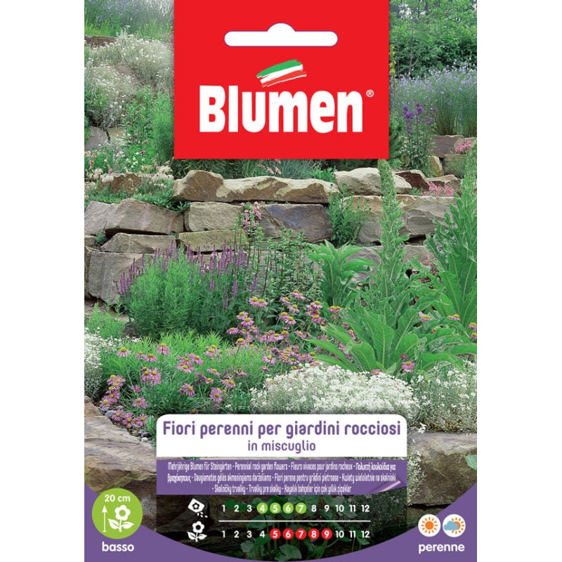 EV FLOWERS PERENNIAL GIAR.ROCC.  –