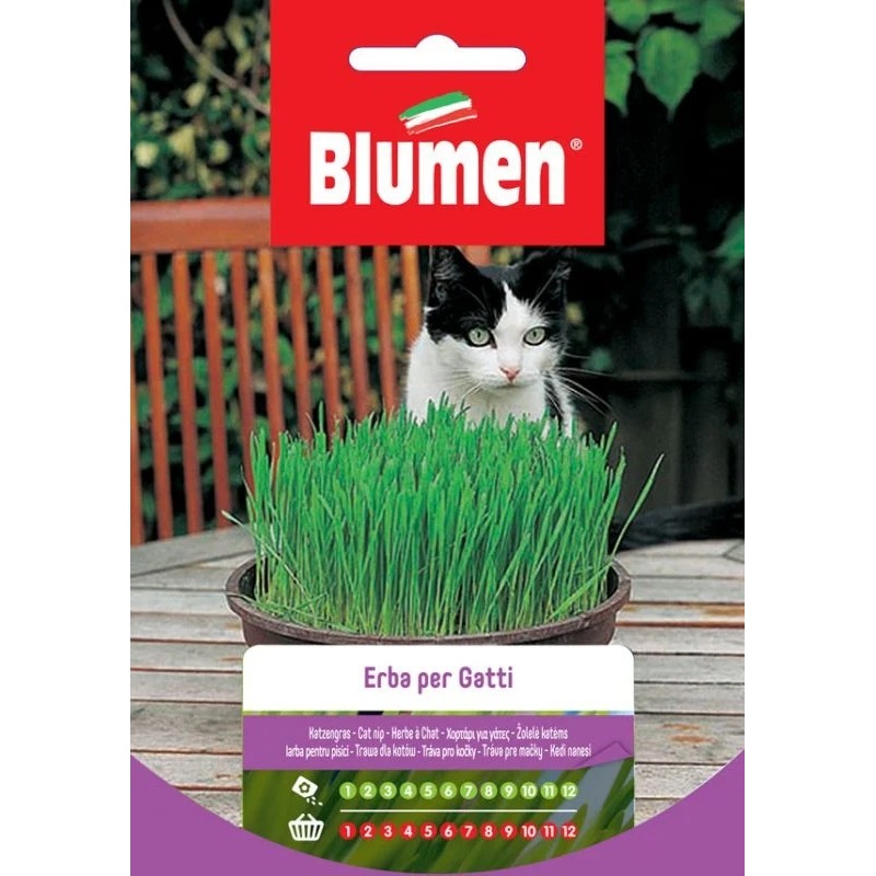 HERB FOR CATS