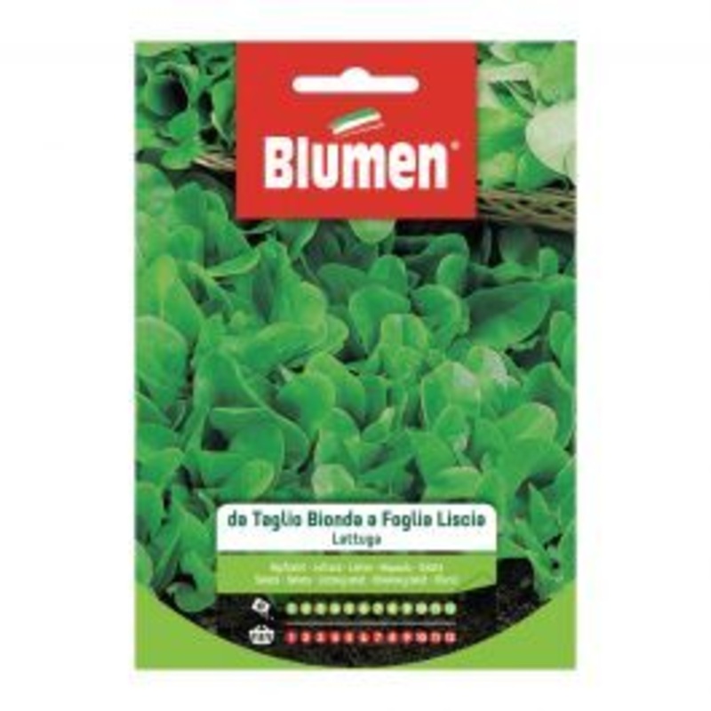 SMOOTH LEAF BLOND CUTTING LETTUCE