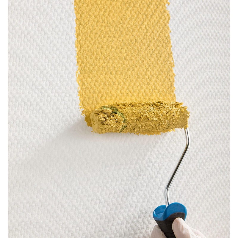 DEXTER MINI-ROLLER FOR LOW ROUGH WALLS 12CM