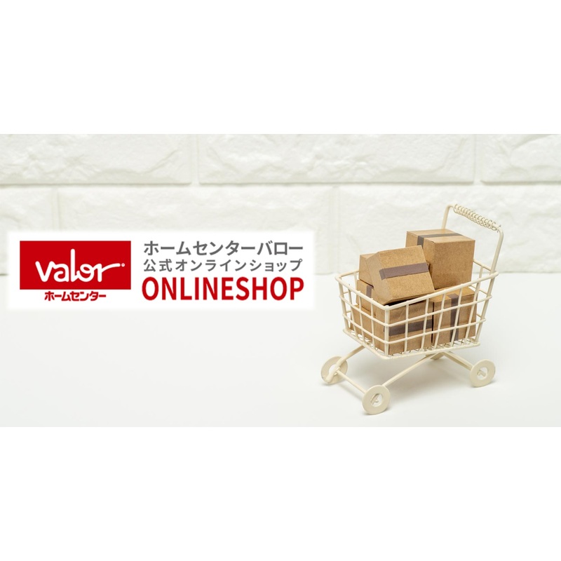 SURFACE WASHER T5 KARCHER