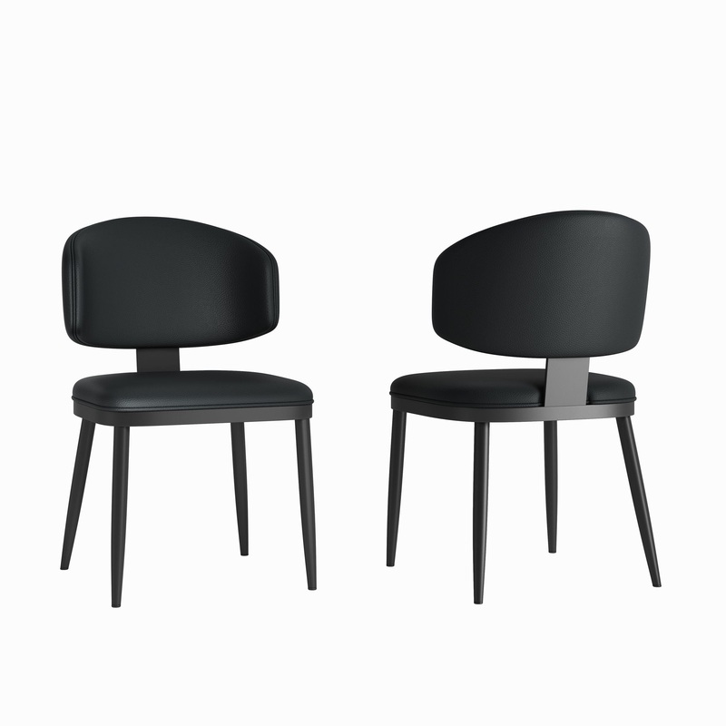 Modern Design Dining Chairs (Set of 2) – Black