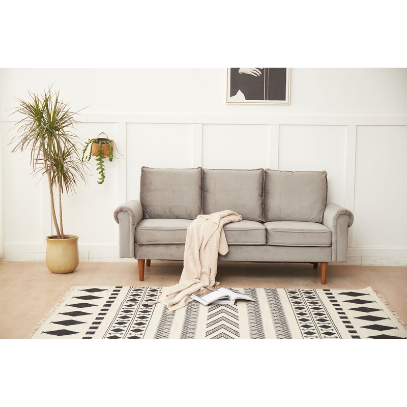 Graceful Design Plush Comfort Sofa