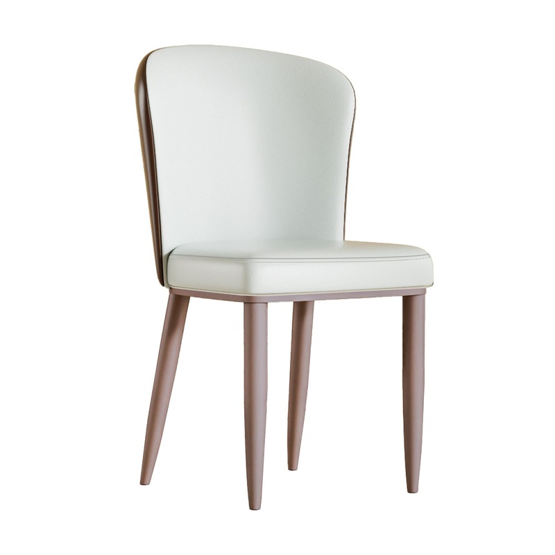 Dining Chair With Carbon Steel Legs, Comfortable Seating, (Set of 2) – White