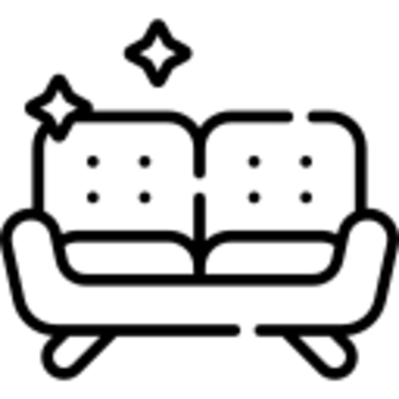 CARPET AND CUSHION CLEANER STAIN REMOVER