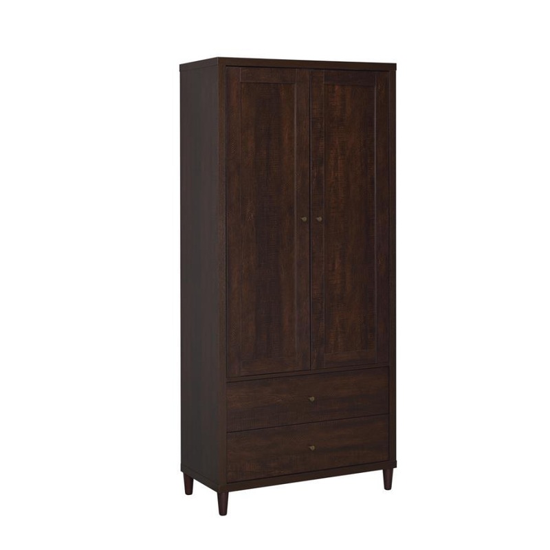 Wadeline – 2 Door Tall Accent Storage Cabinet – Rustic Tobacco