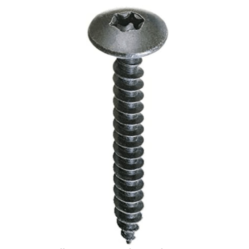 FIBROTECH SCREWS 100 PCS TX20