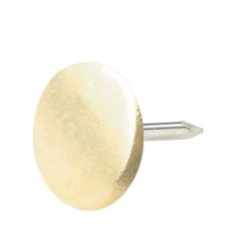 65 DOMED NAILS GILDED STEEL DIAM 8