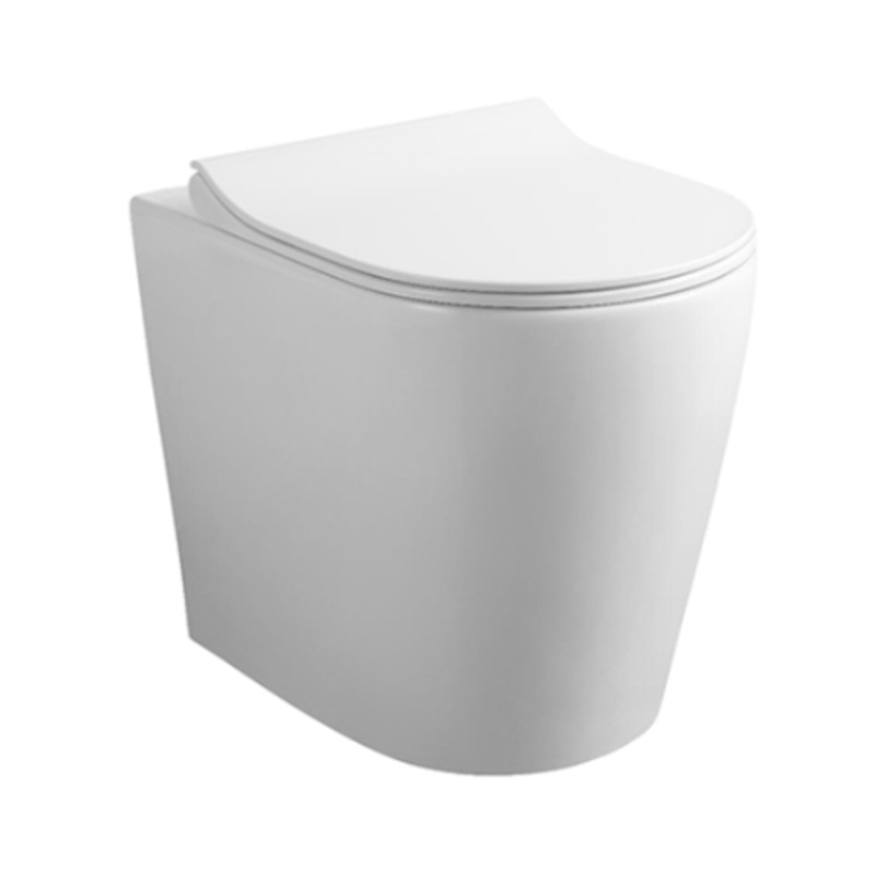 TOILET FLUSH GENTIAN